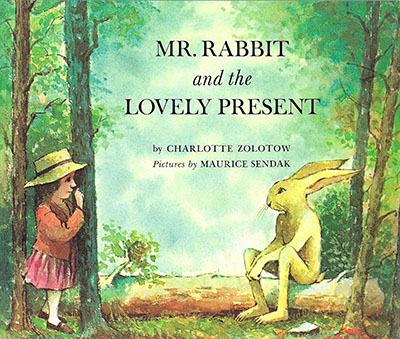 Mr Rabbit And The Lovely Present - Jacket