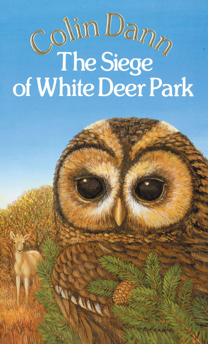 The Siege Of White Deer Park - Jacket