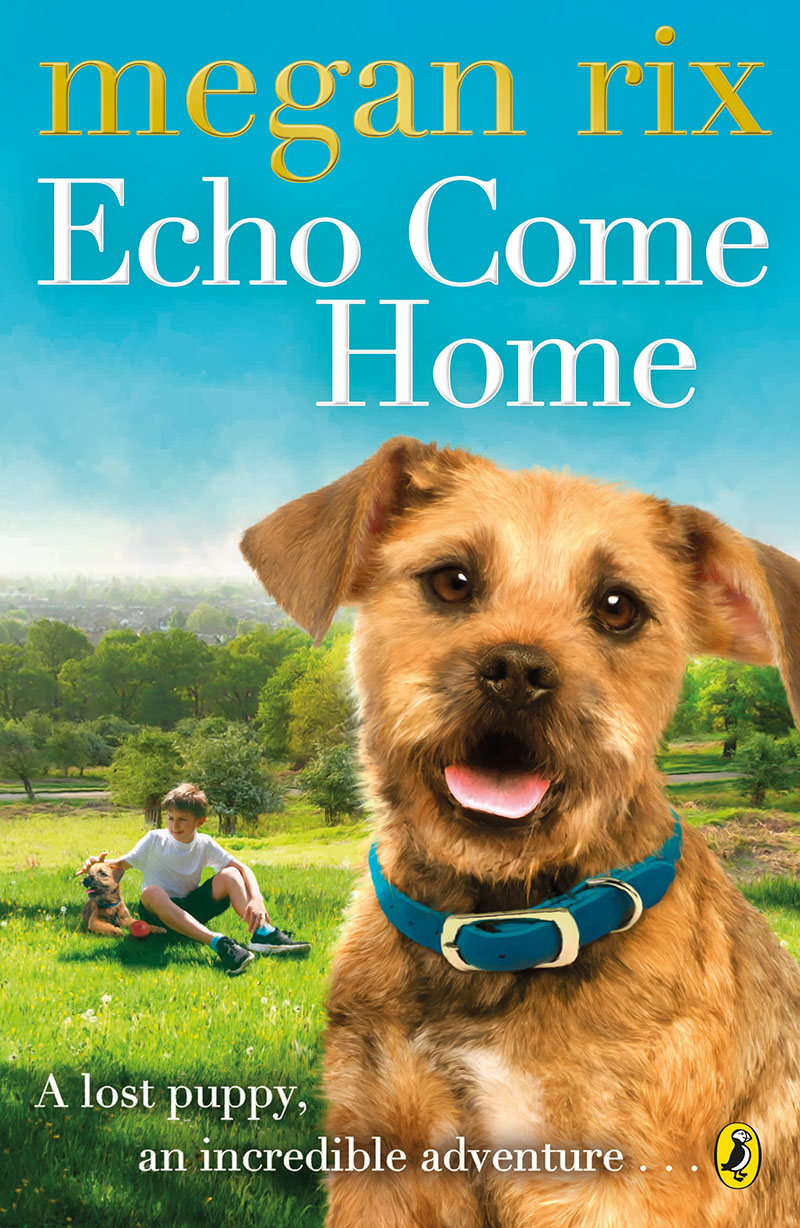 Echo Come Home - Jacket