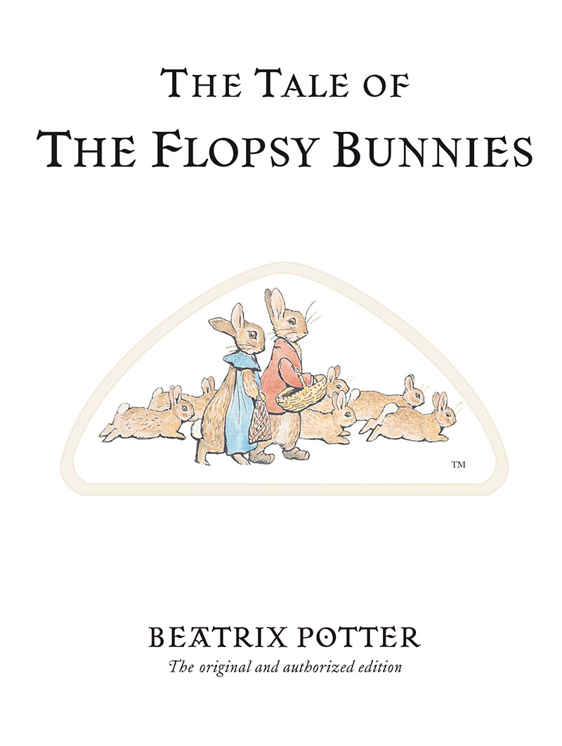 The Tale of The Flopsy Bunnies - Jacket
