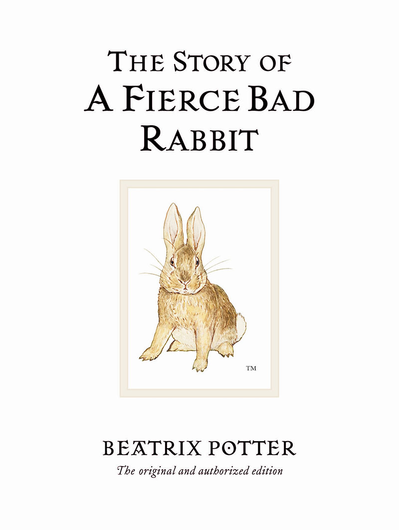 The Story of A Fierce Bad Rabbit - Jacket