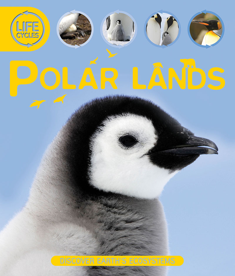 Life Cycles: Polar Lands - Jacket