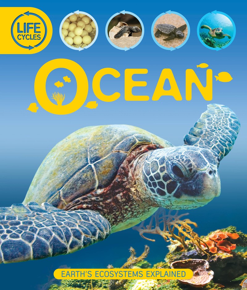 Life Cycles: Ocean - Jacket