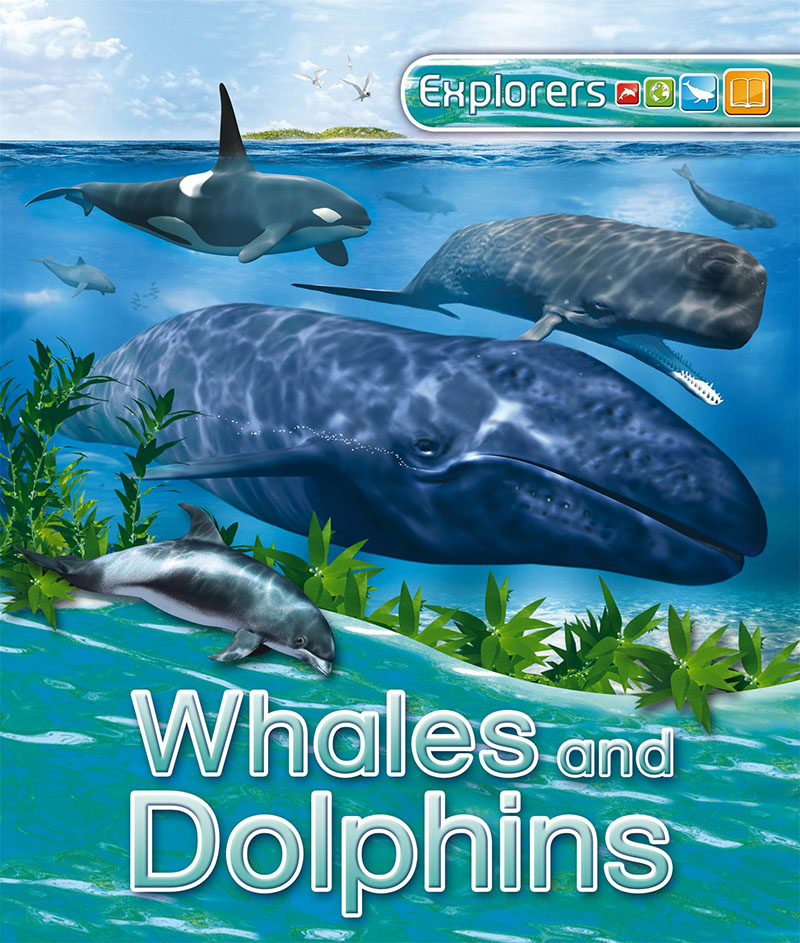 Explorers: Whales and Dolphins - Jacket