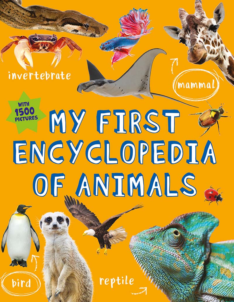 My First Encyclopedia of Animals - Jacket