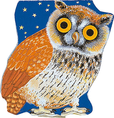 Pocket Owl - Jacket