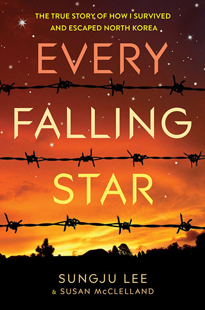 Every Falling Star (UK edition) - Jacket