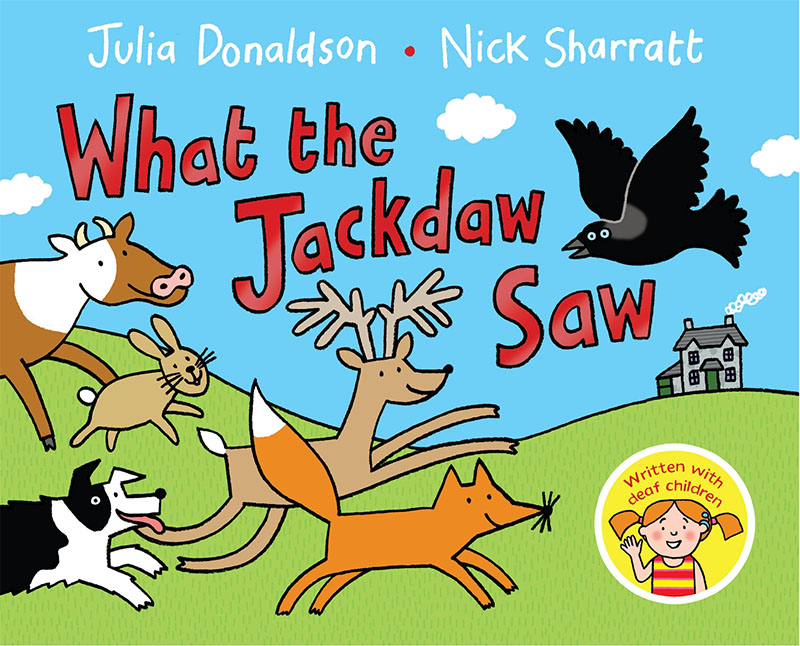 What the Jackdaw Saw - Jacket