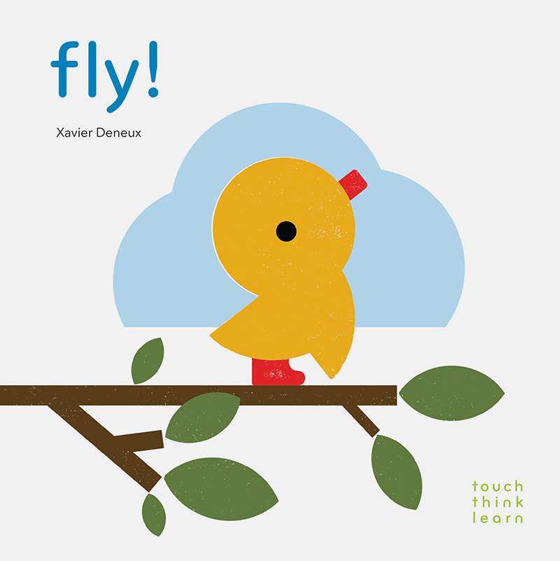 TouchThinkLearn: Fly! - Jacket