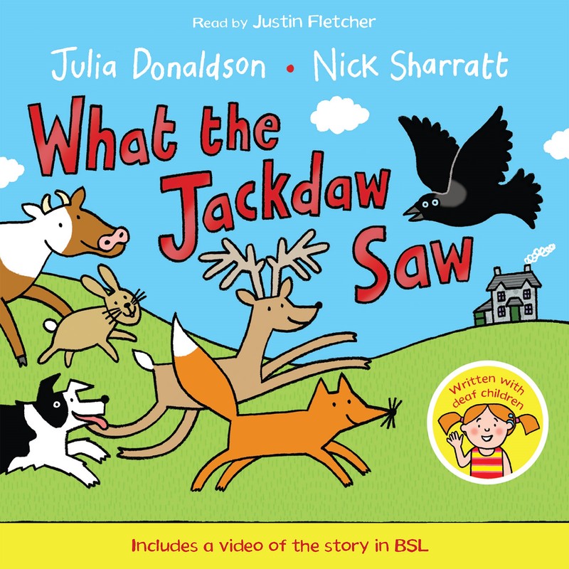 What the Jackdaw Saw - Jacket