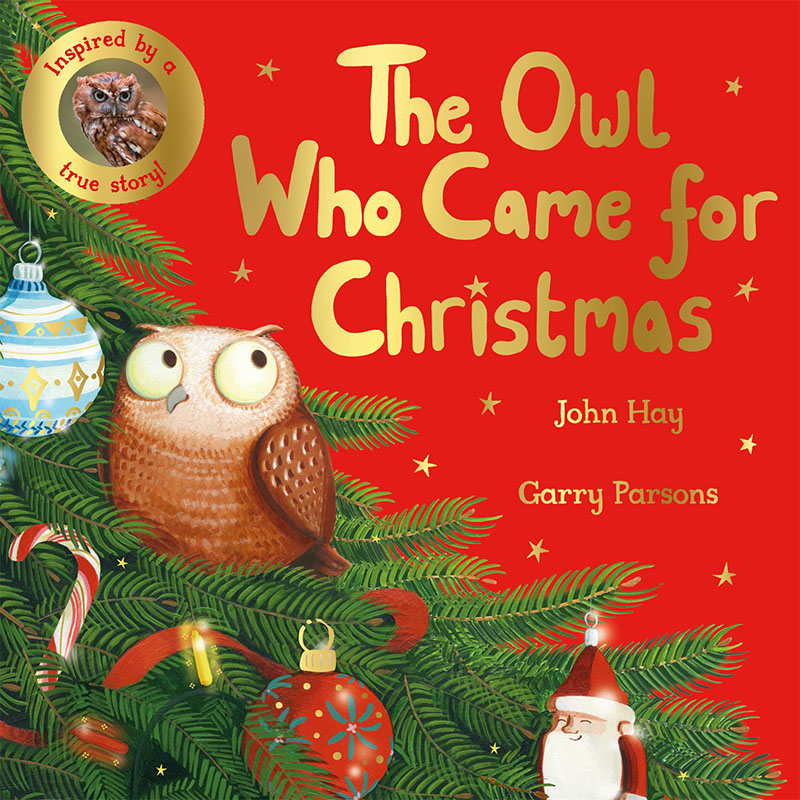 The Owl Who Came for Christmas - Jacket