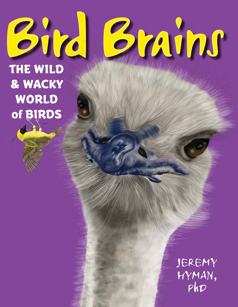 Bird Brains - Jacket