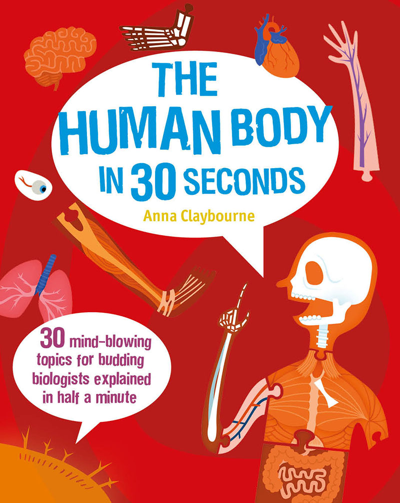The  Human Body in 30 Seconds - Jacket