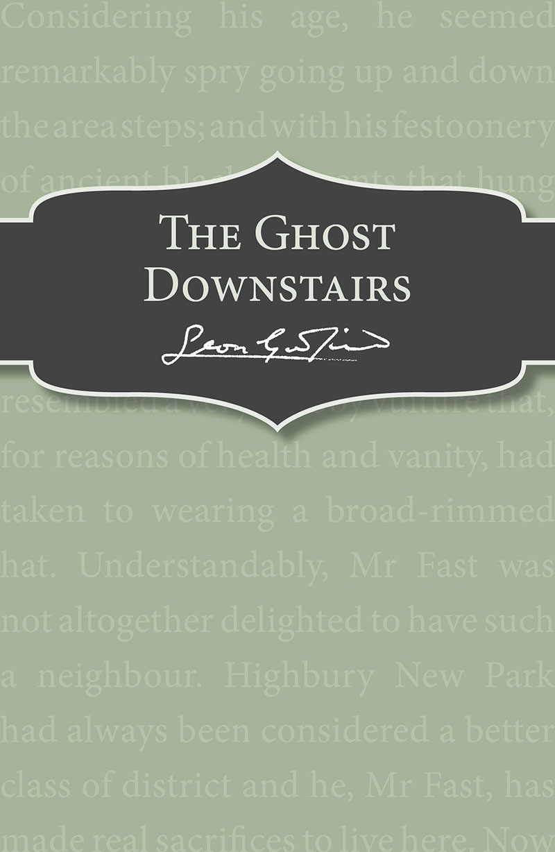 The Ghost Downstairs - Jacket