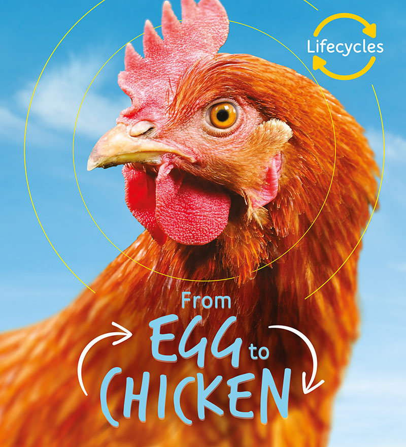 Lifecycles: Egg to Chicken - Jacket