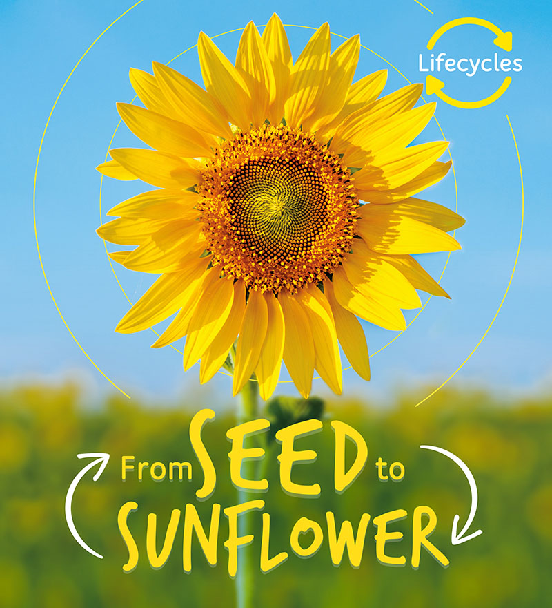 Lifecycles: Seed to Sunflower - Jacket