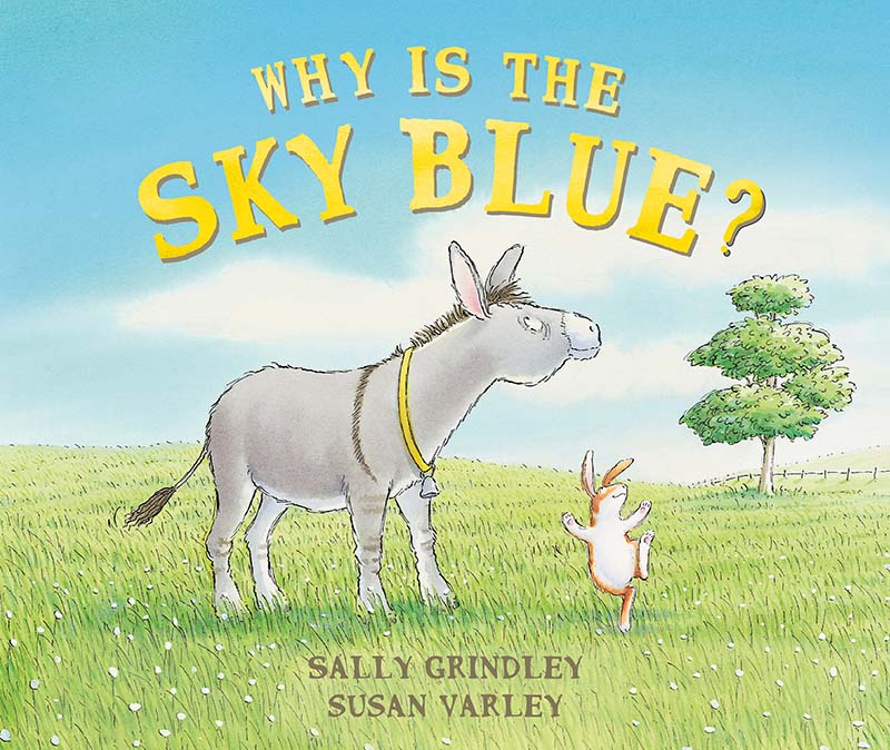 Why Is The Sky Blue? - Jacket