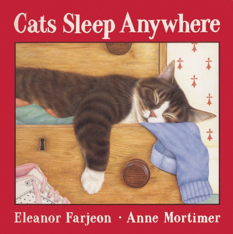 Cats Sleep Anywhere - Jacket