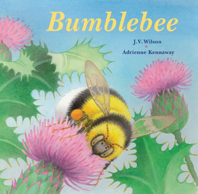 Bumblebee - Jacket