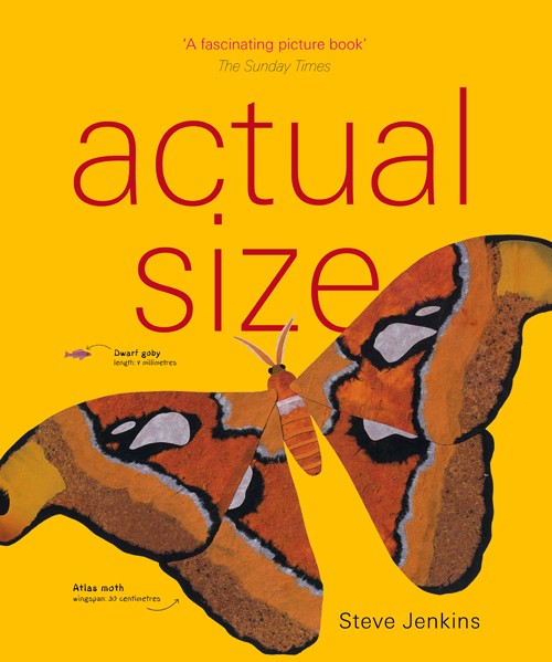 Actual Size