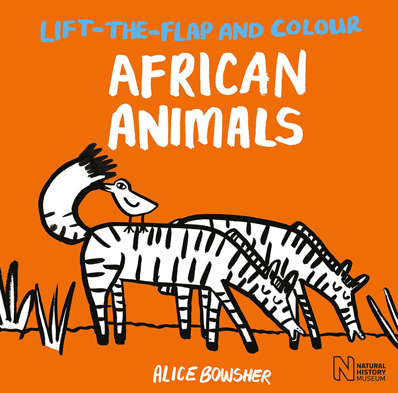Lift-the-flap and Colour African Animals - Jacket