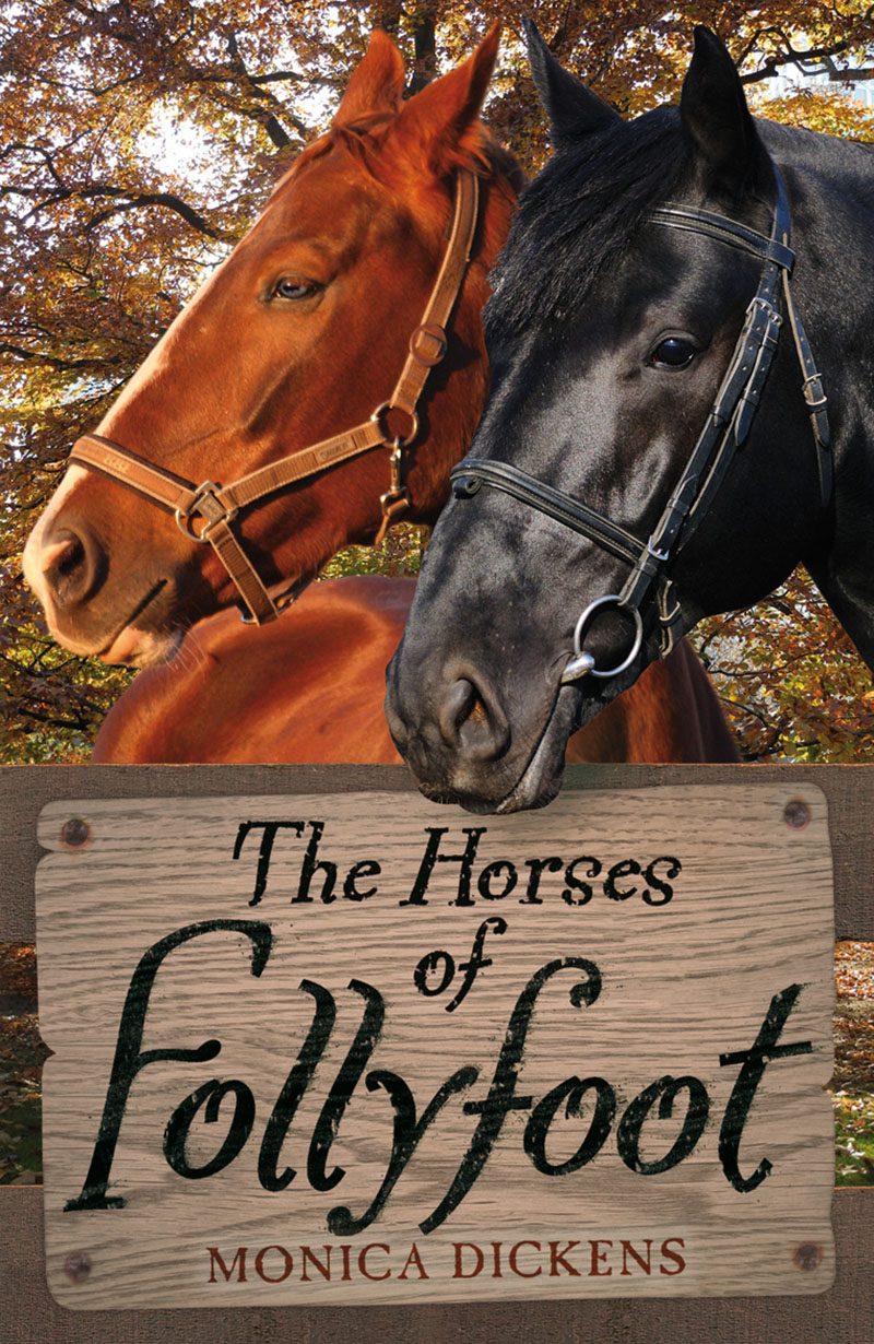 The Horses of Follyfoot - Jacket