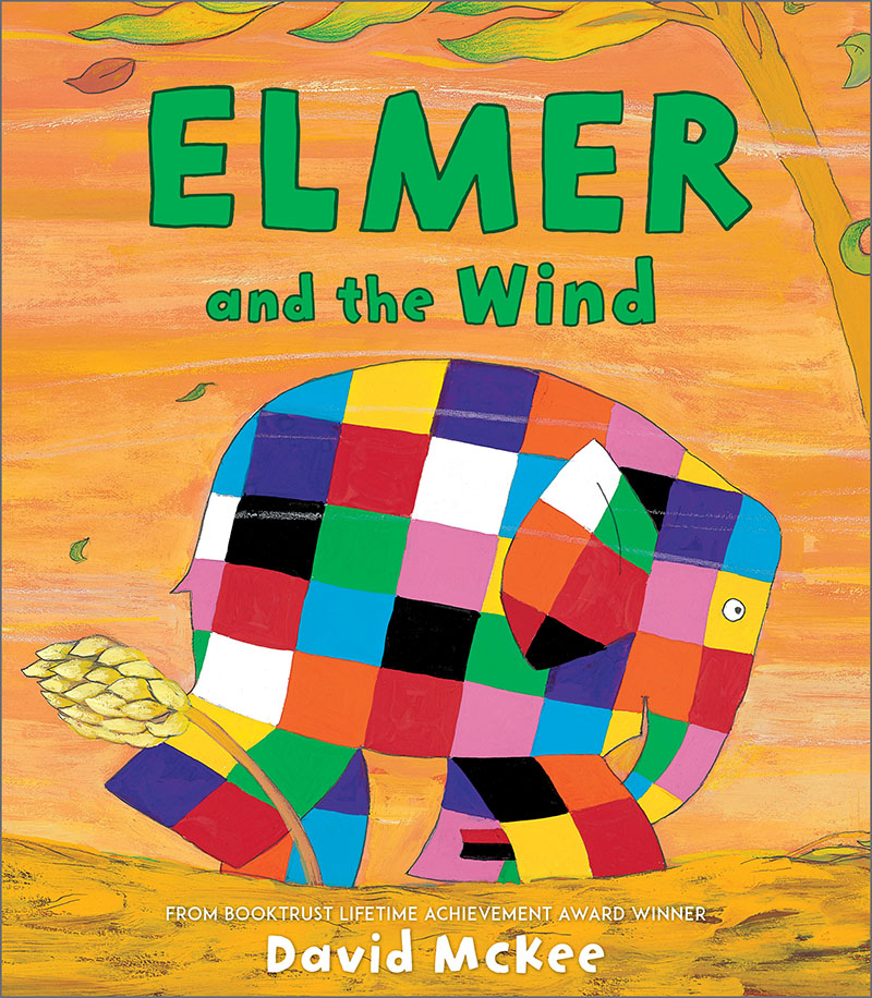 Elmer and the Wind - Jacket