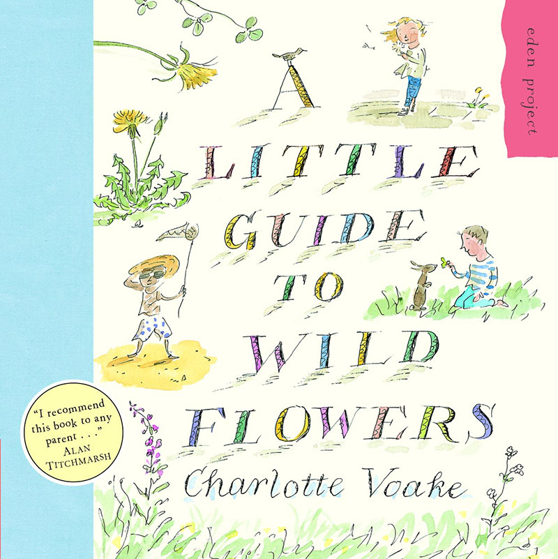 A Little Guide To Wild Flowers - Jacket